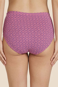 Zivame Anti-Microbial Low Rise Full Coverage Hipster Panty (Pack of 3) - Multicolor — thumbnail 13